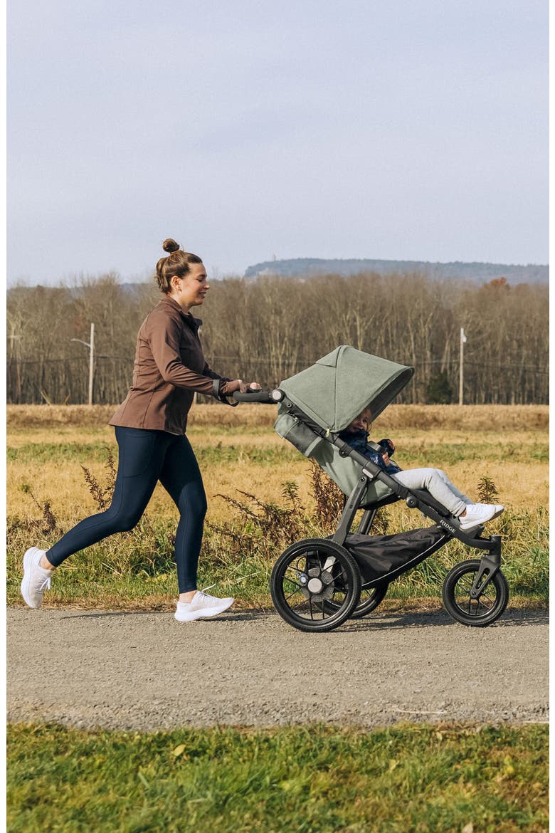RIDGE All-Terrain Stroller, Alternate, color, THEO