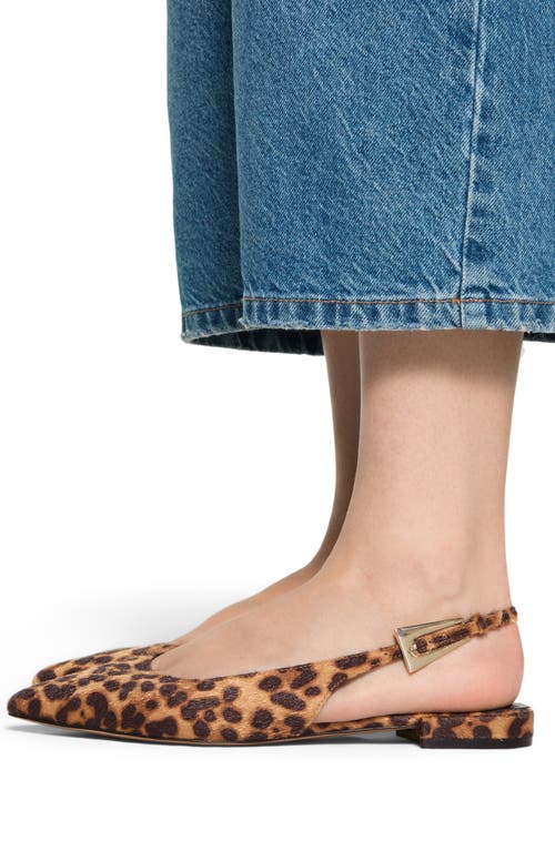 Aldo Kristell Pointed Toe Slingback Flat