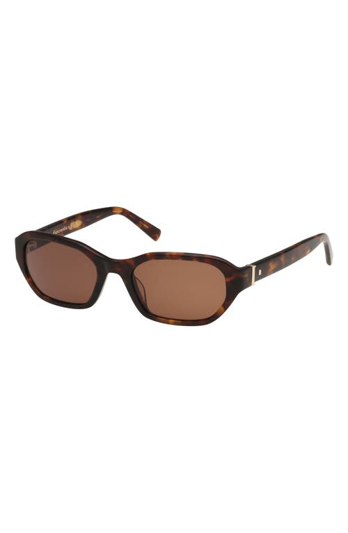 Abercrombie & Fitch 52mm Oval Sunglasses In Brown