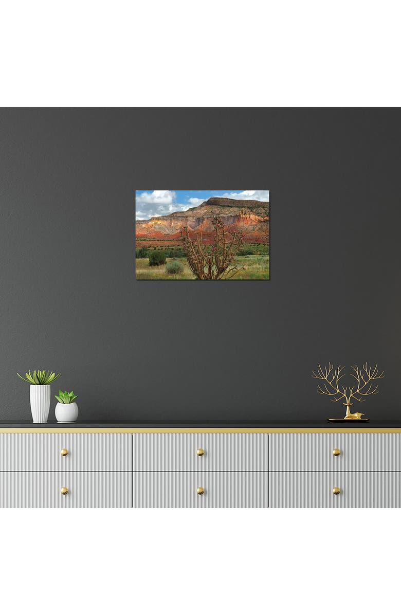 iCanvas Chola cactus at Kitchen Mesa, Ghost Ranch, New Mexico, USA by Tim Fitzharris Canvas Wall Art, Alternate, color,
