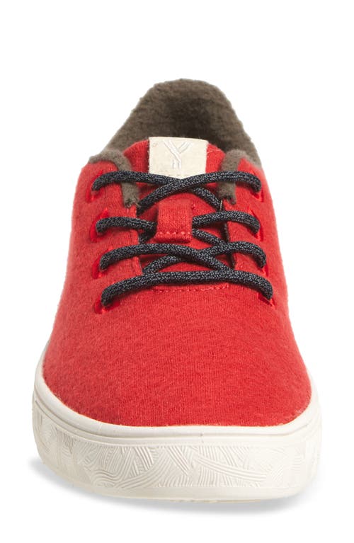Yy Nation Cirro Wool Blend Water Resistant Low Top Sneaker In Red/white