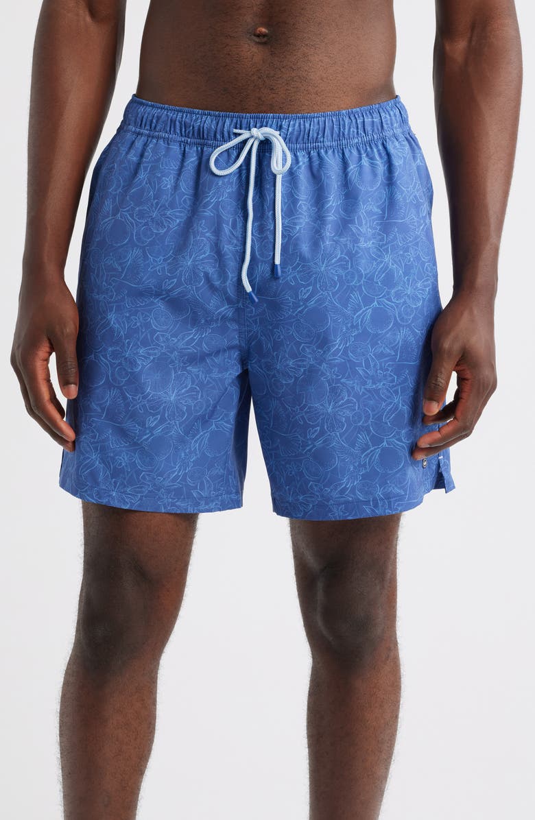 Peter Millar Palmoa Fruit & Bird Print Swim Trunks, Main, color, Ocean Blue