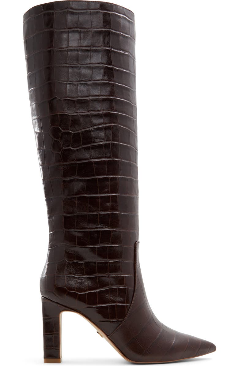 ALDO Cadigoder Pointed Toe Knee High Boot, Alternate, color, Dark Brown