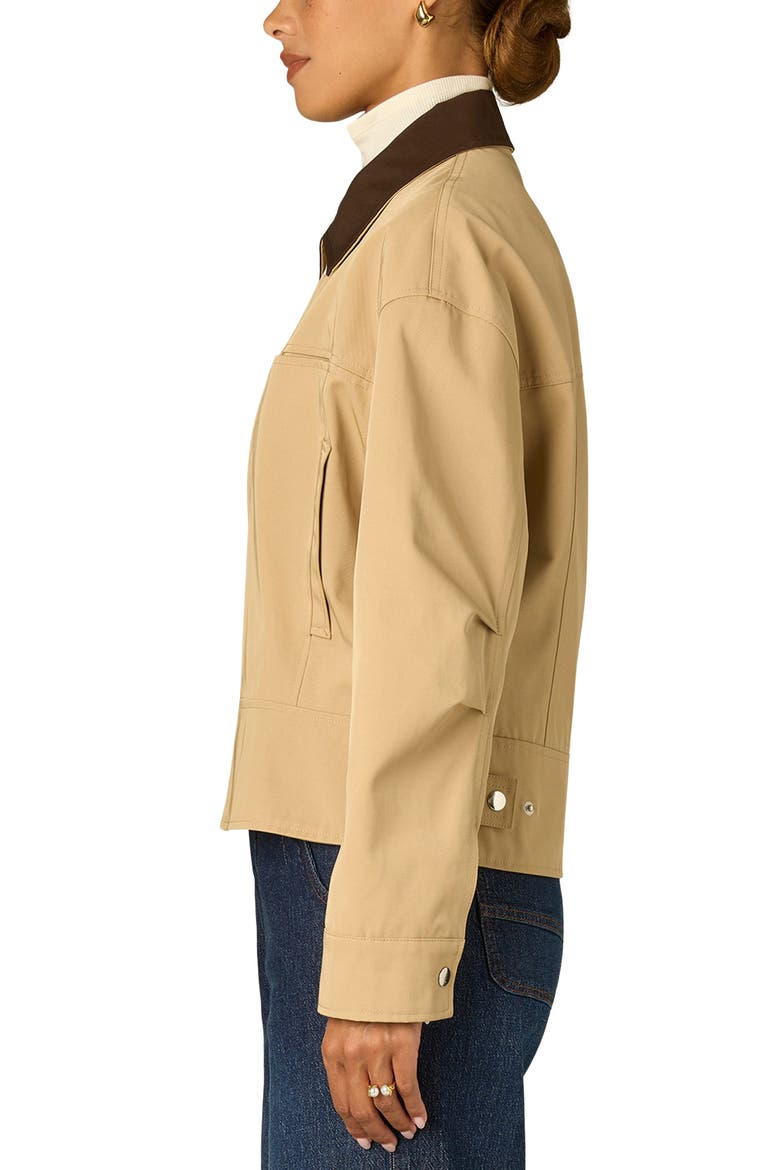 Contrast Collar Peplum Jacket, Alternate, color, STRW STRAW