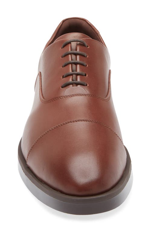 Wolf & Shepherd Men's Closer Leather Oxford Dress Shoes In Brown Oxford