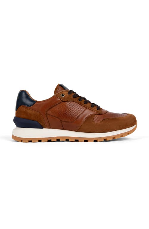 Anthony Veer Edward Runner Sneaker In Multi