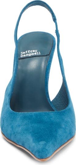 You Wish Slingback Pointed Toe Pump