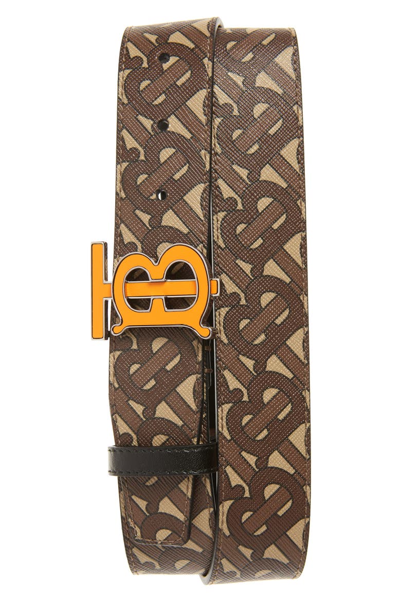 TB Monogram E-Canvas Belt, Main, color, BRIDLE BROWN