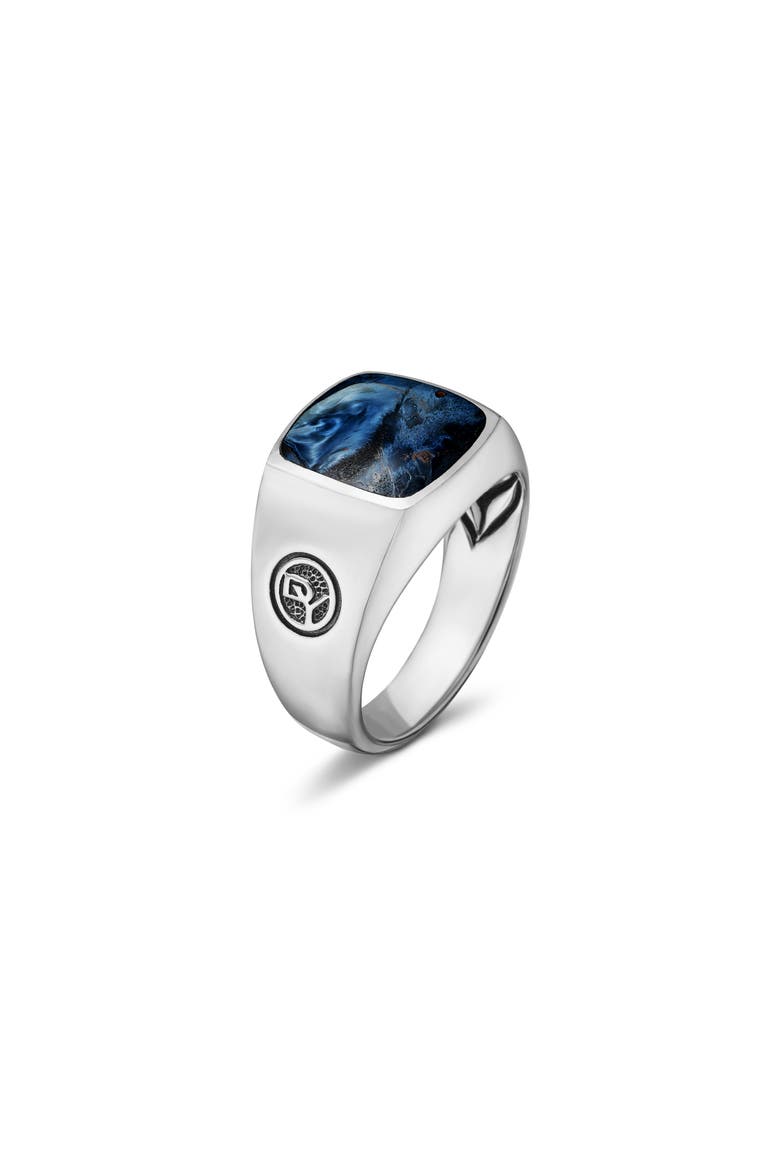 'Exotic Stone' Signet Ring in Silver, Alternate, color, PIETERSITE