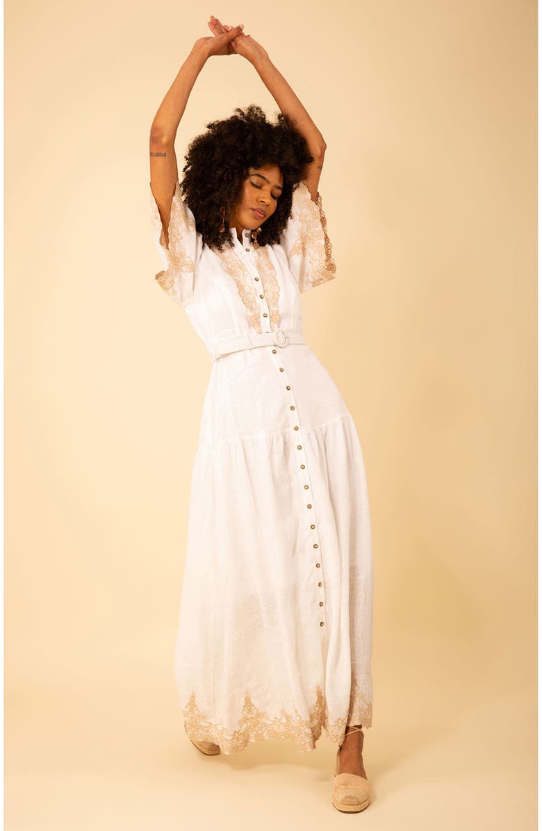 Hale Bob Haven Embroidered Linen Maxi Dress, Alternate, color, 