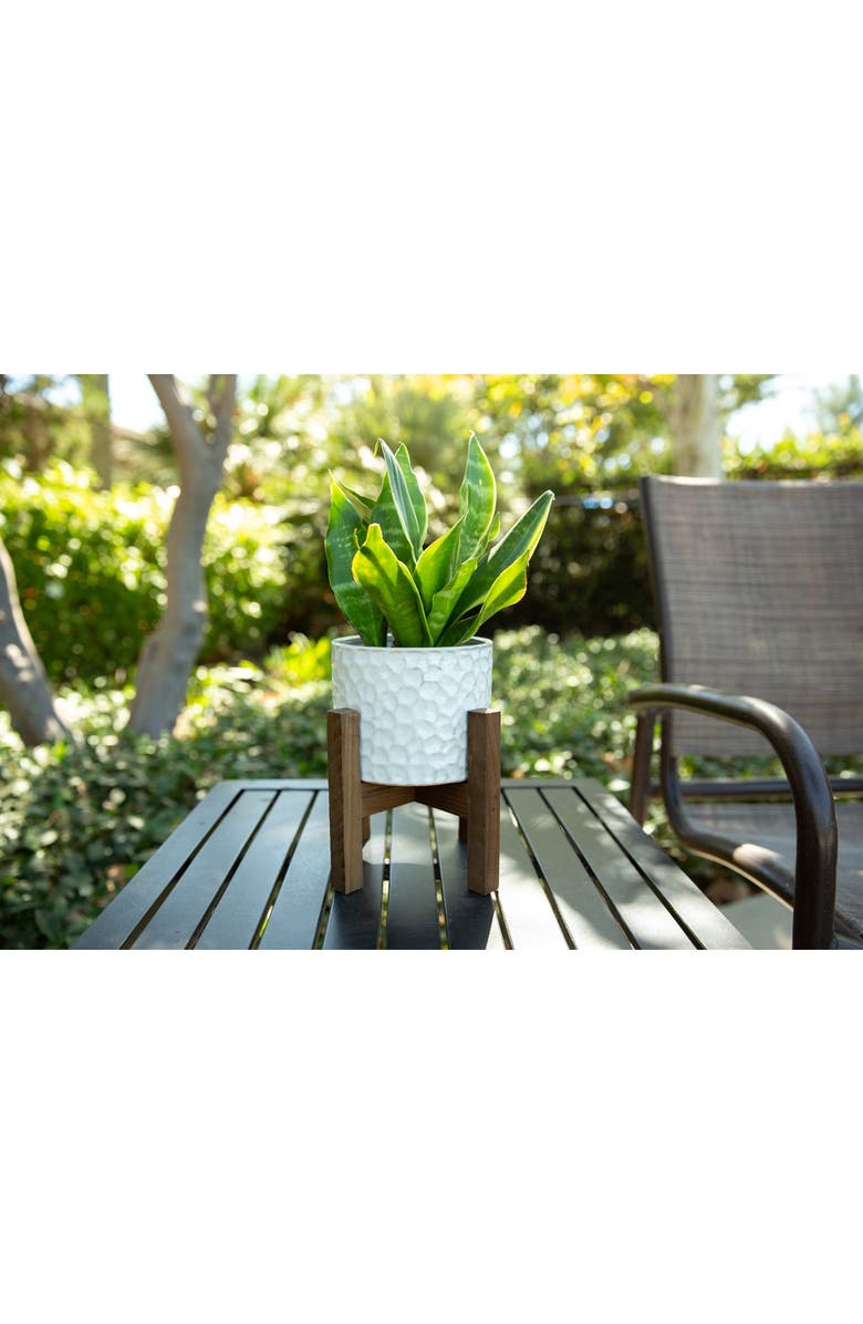 FLORA BUNDA 5.5" Beehive Ceramic Planter on Wood Stand, Alternate, color, 