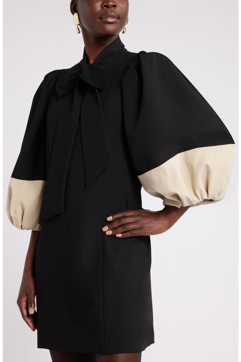 Harbison Balloon Long Sleeve Minidress, Alternate, color, BLACK- TAN COLORBLOCK