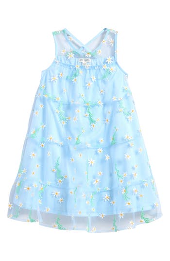 Ava & Yelly Kids' Floral Embroidered Mesh Trapeze Party Dress In Light Blue