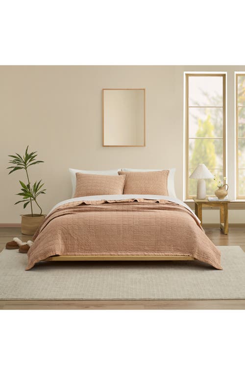 Ugg(r) Campo Quilt & Pillow Shams Set In Sandalwood