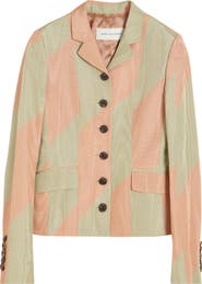 Dries Van Noten Belia Broken Stripe Moiré Jacket