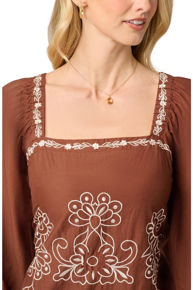 Embroidered Long Sleeve Minidress, Alternate, color, CHOCOLATE/ ECRU