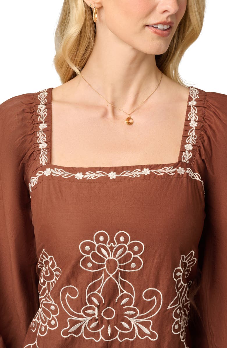 Adrianna Papell Embroidered Long Sleeve Minidress, Alternate, color, Chocolate/ Ecru