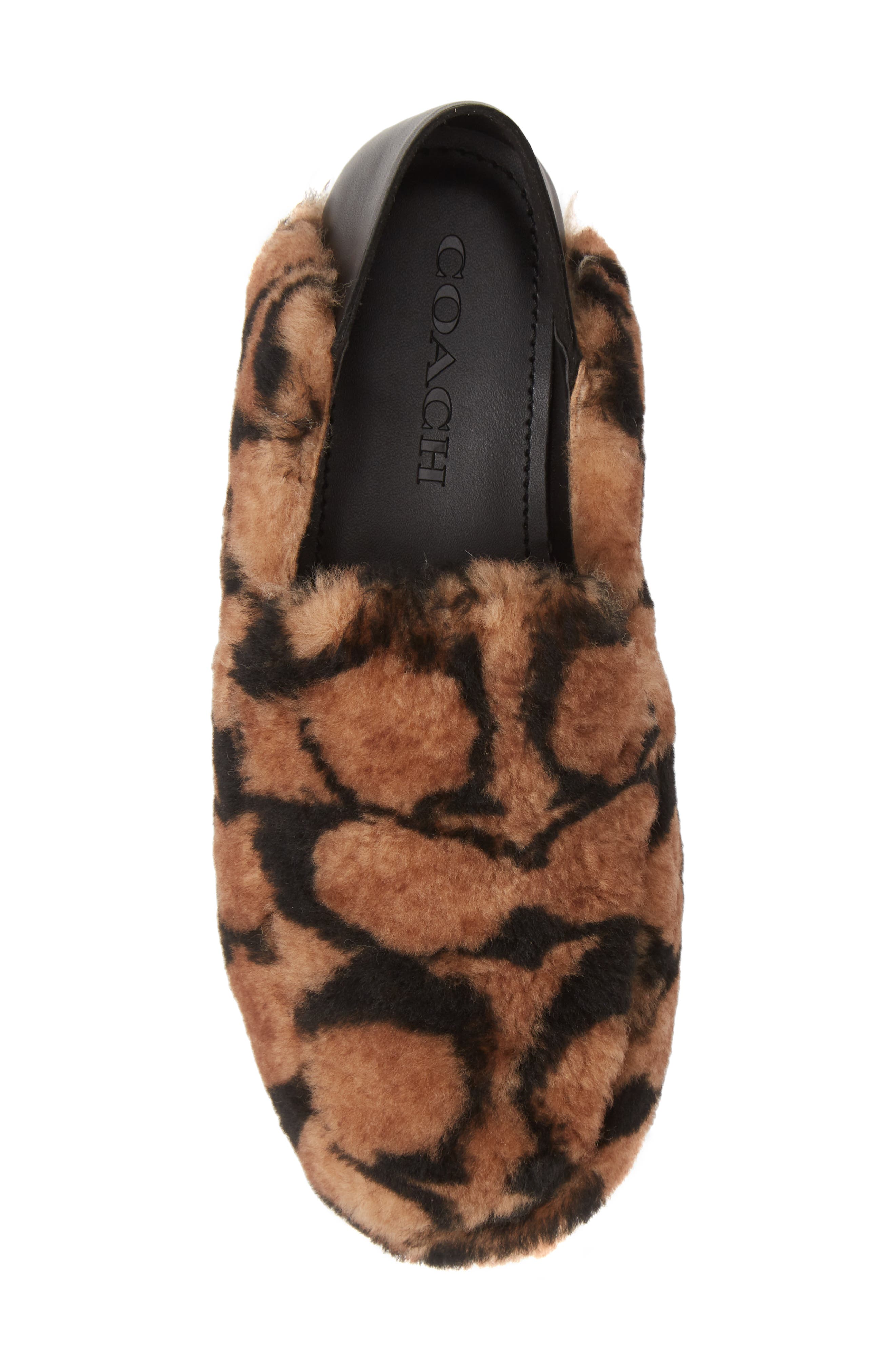 COACH Holly Genuine Shearling Convertible Loafer, Alternate, color, 