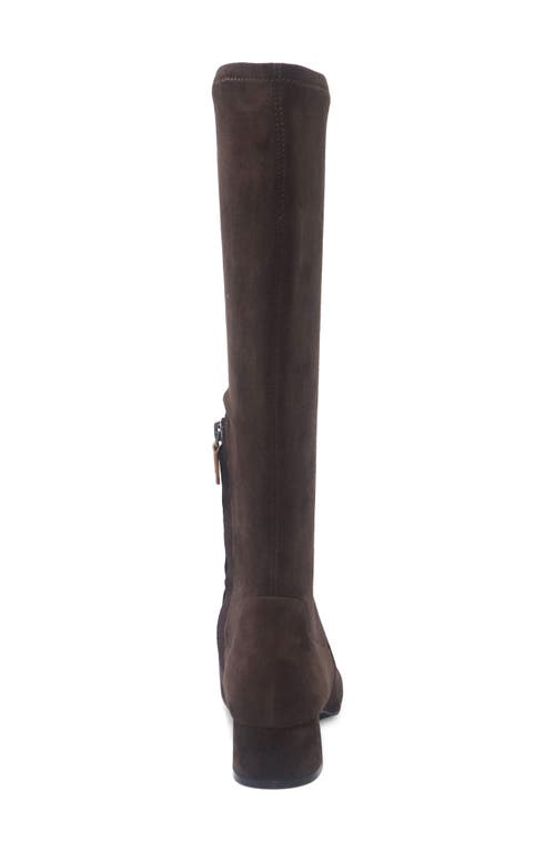 Gentle Souls Gallway Stretch Boot In Brown