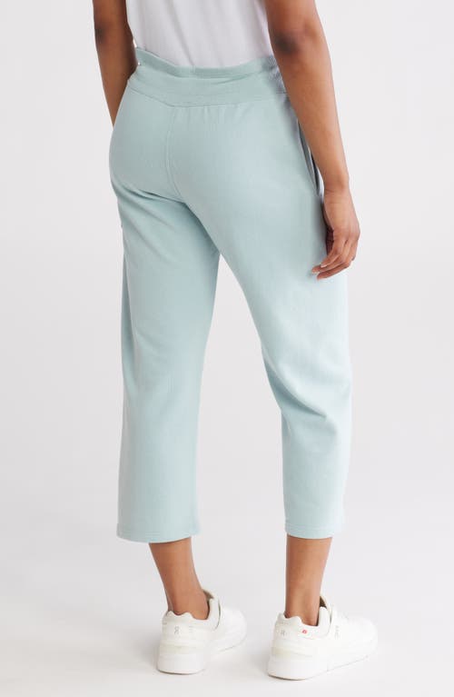 Dkny Mini Stud Logo Crop Pants