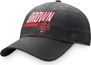TOP OF THE WORLD Men's Top of the World Charcoal Brown Bears Slice Adjustable Hat