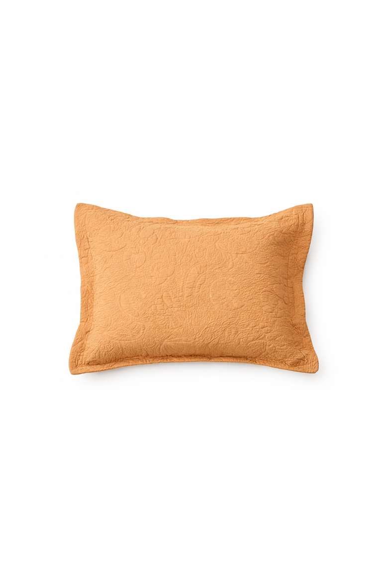 Taupe Shell Matelassé 100% Cotton Decorative Pillow Sham 20" x 26", Main, color, Brown