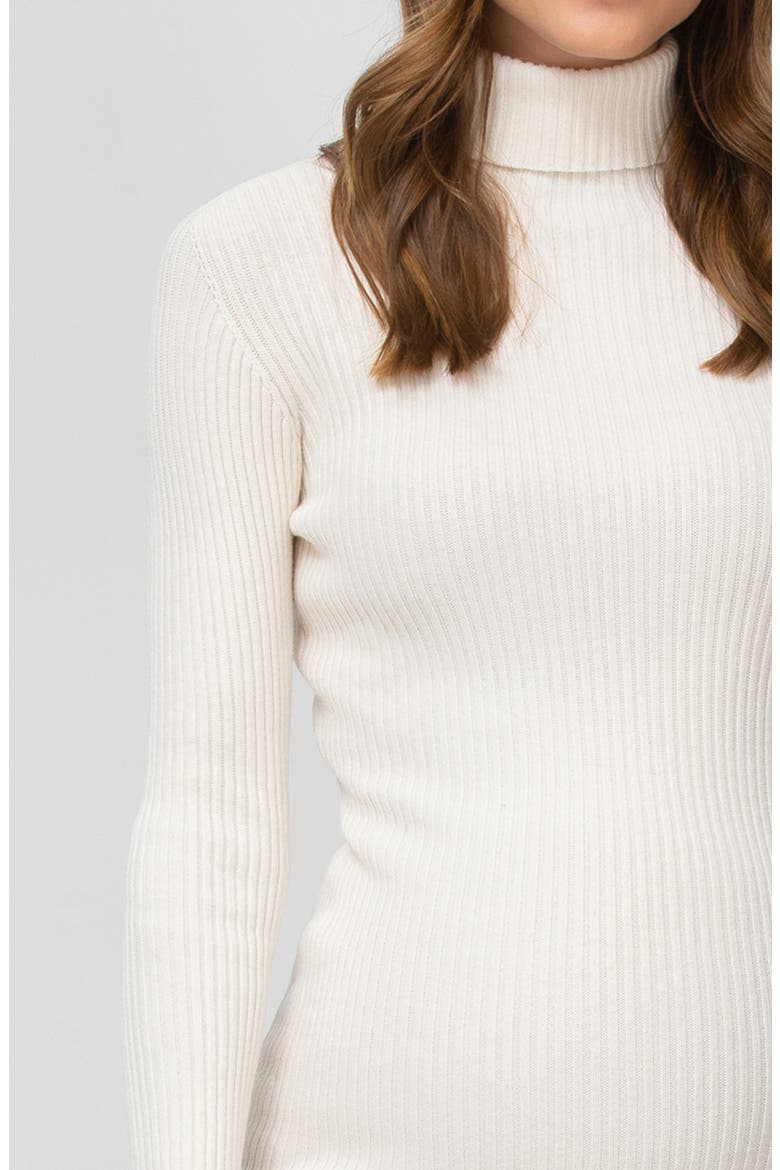 Turtleneck Long Sleeve Rib Maternity Sweater Dress, Alternate, color, NATURAL