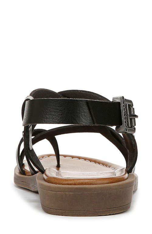 BLOWFISH MALIBU BLOWFISH MALIBU DEVON SANDAL