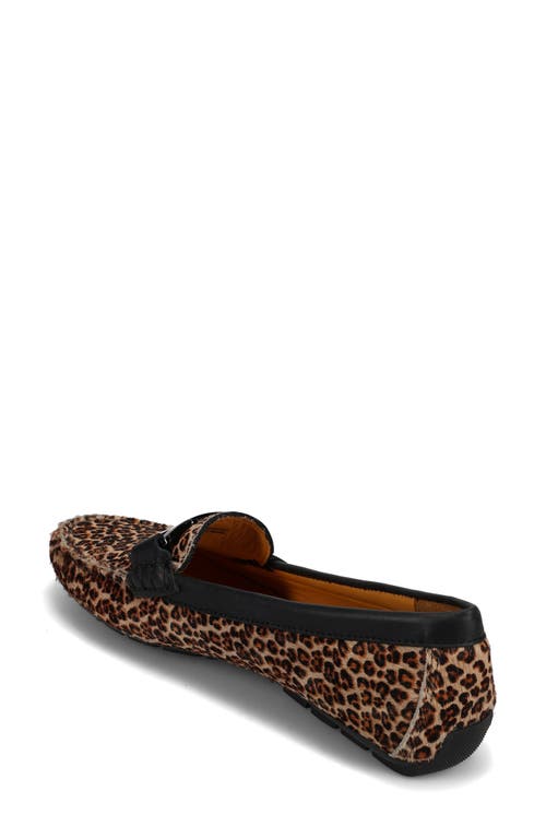Vaneli Aiker Driving Loafer In Brown