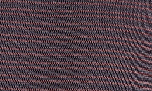 Vince Stripe Long Sleeve Pima Cotton Piqué Crewenck T-shirt In Purple