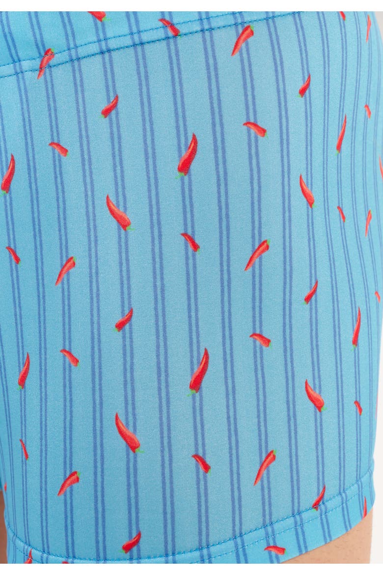 Espelette Swim Shorts, Alternate, color, Turquoise Print