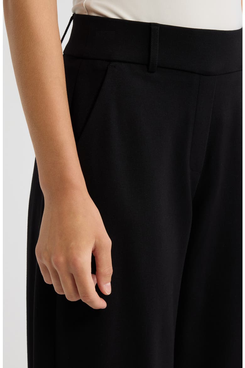 Slash Pocket Barrel Leg Pants, Alternate, color, ANNE BLACK