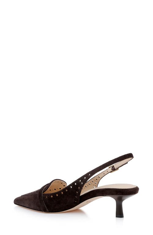 L Agence L'agence Lourdes Slingback Pointed Toe Kitten Heel Pump In Brown