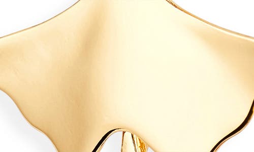 Nordstrom Cascading Ginkgo Leaf Drop Earrings In Gold