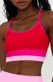 Beach Riot Eva Colorblock Bikini Top