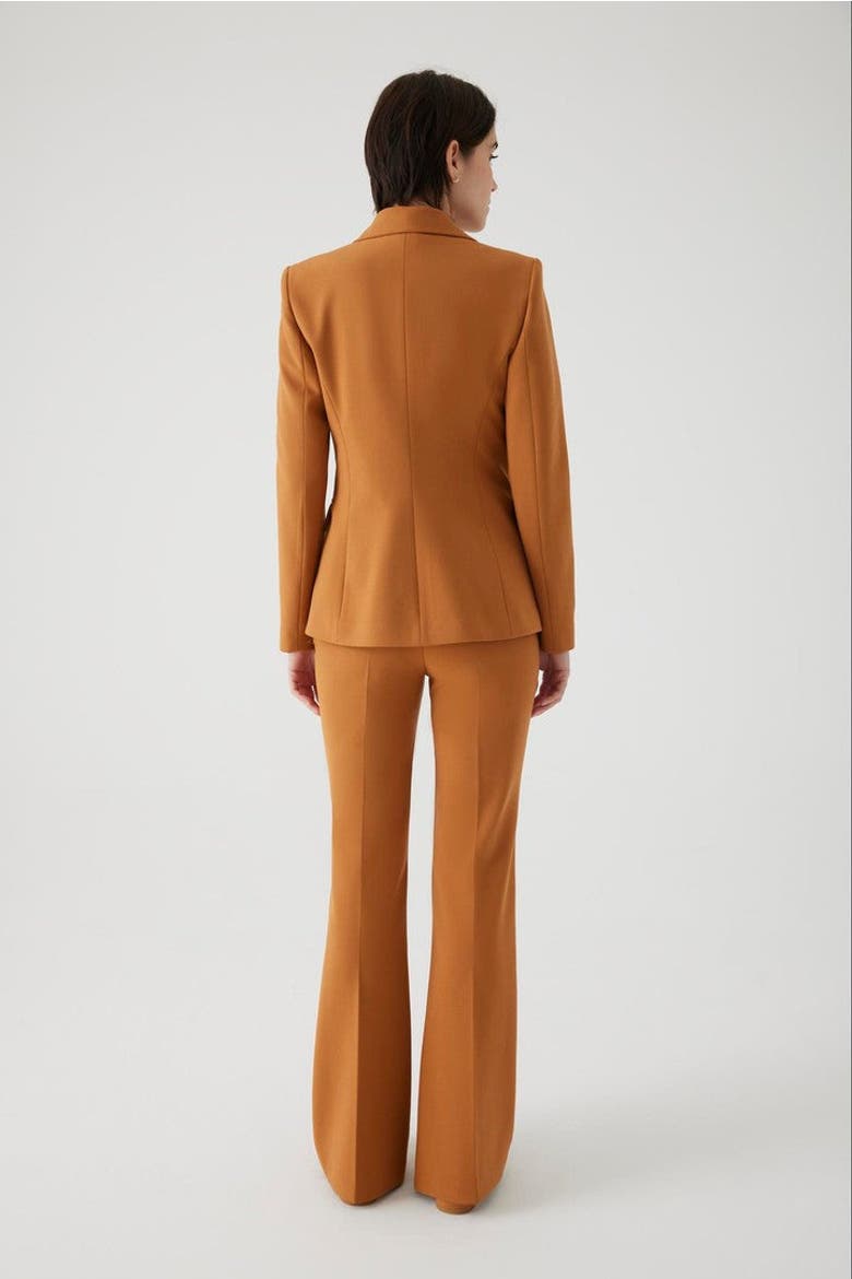 Alona Blazer Jacket, Alternate, color, CINNAMON