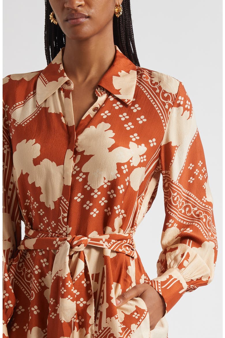 Ada Mixed Print Long Sleeve Shirtdress, Alternate, color, AMBER COMBO