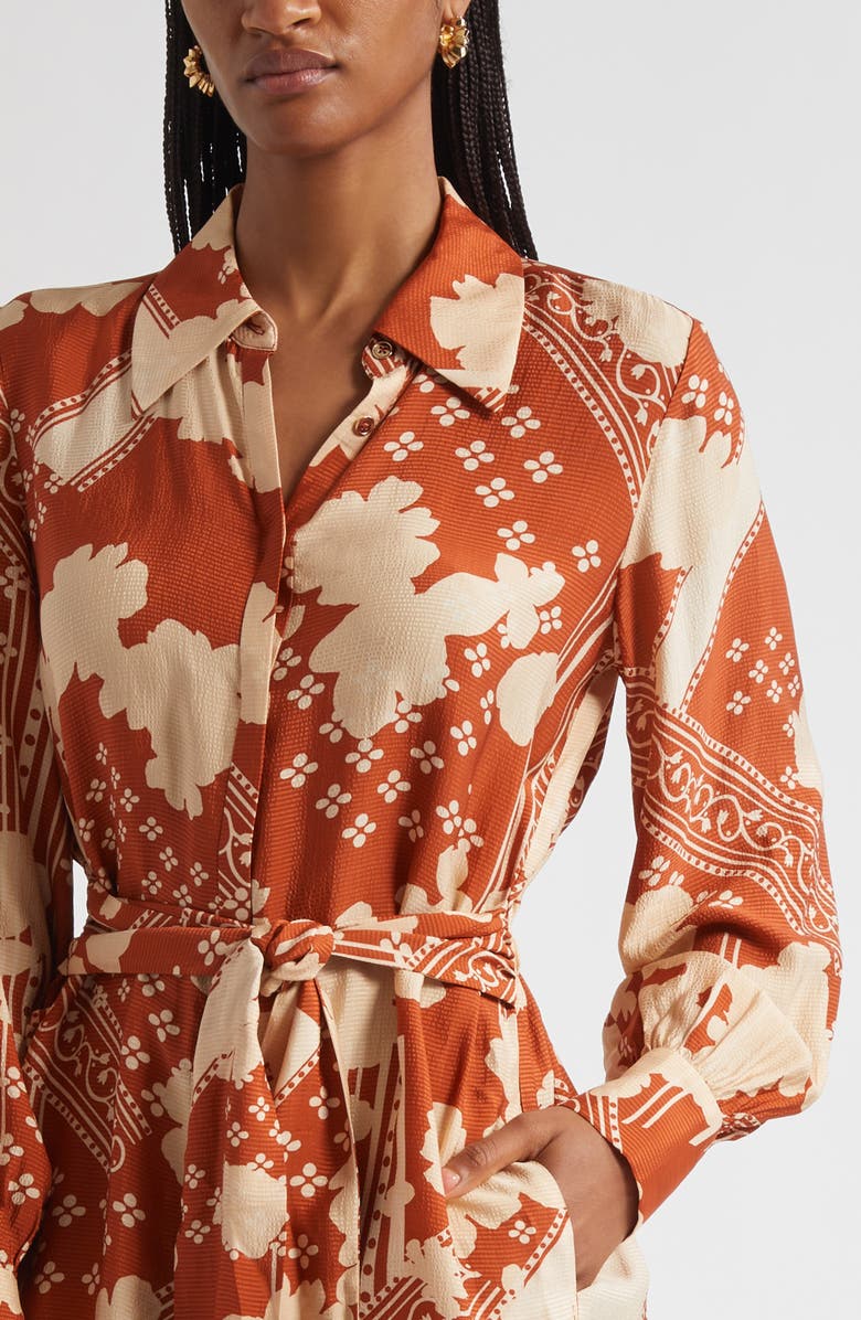 Ramy Brook Ada Mixed Print Long Sleeve Shirtdress, Alternate, color, Amber Combo