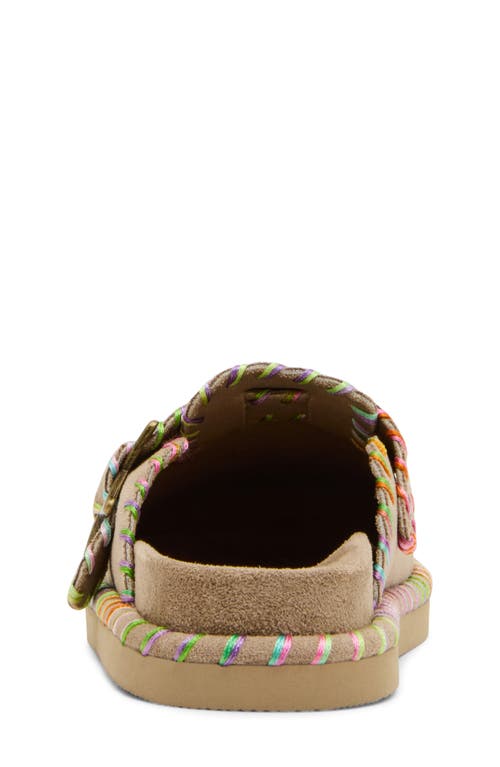 Steve Madden Kids' Jshilo Mule In Brown