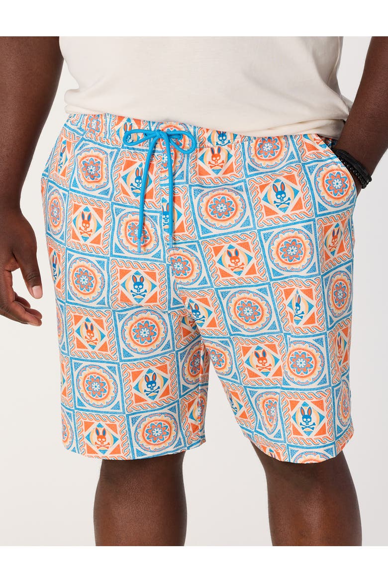 Big & Tall Frank Swim Trunks, Alternate, color, MULTI