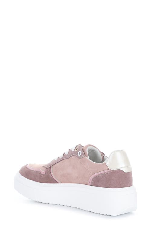 Bos. & Co. Fulton Colorblock Platform Sneaker In Old Rose Suede