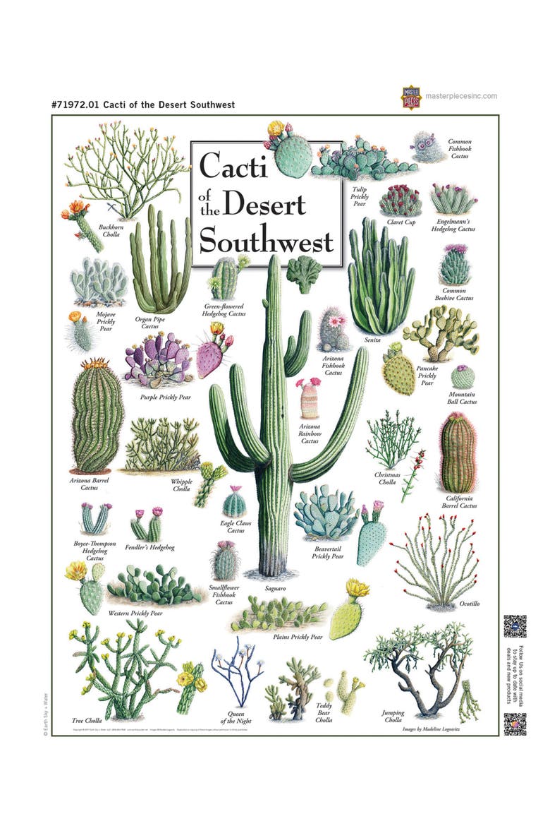 Cacti of the Southwest 1000 Piece Puzzle, Alternate, color, Multicolor