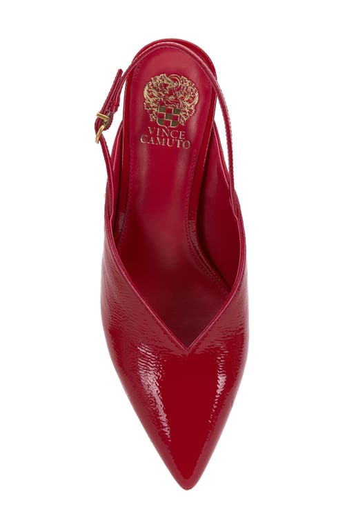 Vince Camuto Kylien Slingback Pointed Toe Pump