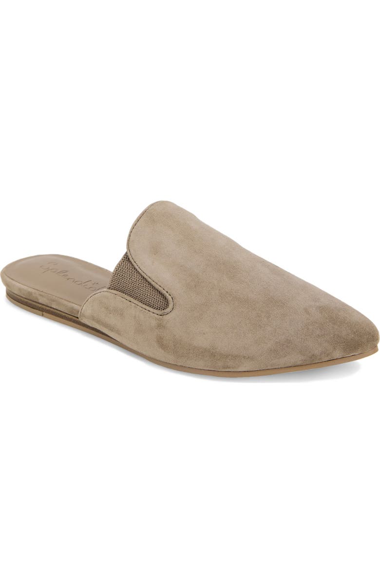 Splendid Liza Pointed Toe Mule, Main, color, Ermine