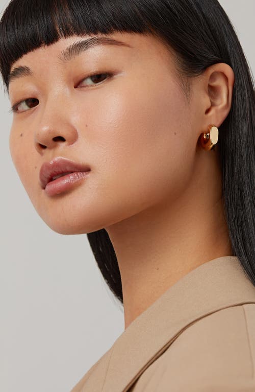 Jenny Bird Medium Mila Hoop Earrings