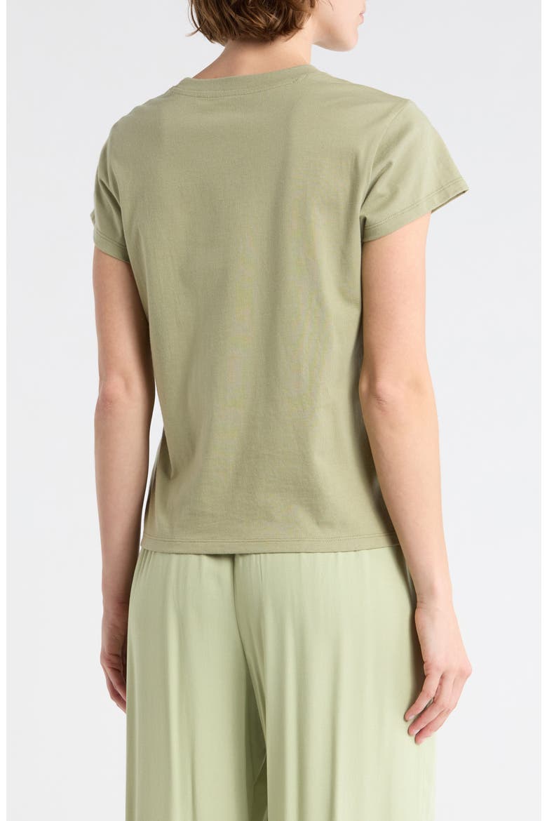 Palm Embroidered T-Shirt, Alternate, color, PISTACHIO