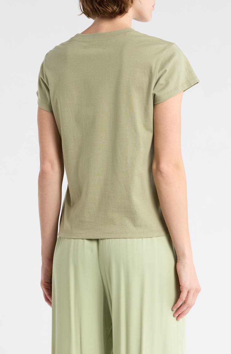 Billabong Palm Embroidered T-Shirt, Alternate, color, Pistachio