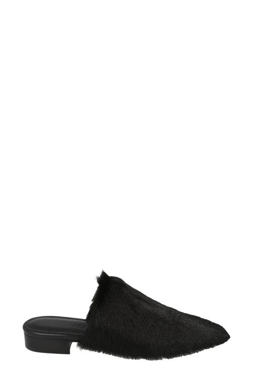 Ferragamo Selestina Genuine Hair Mule In Black