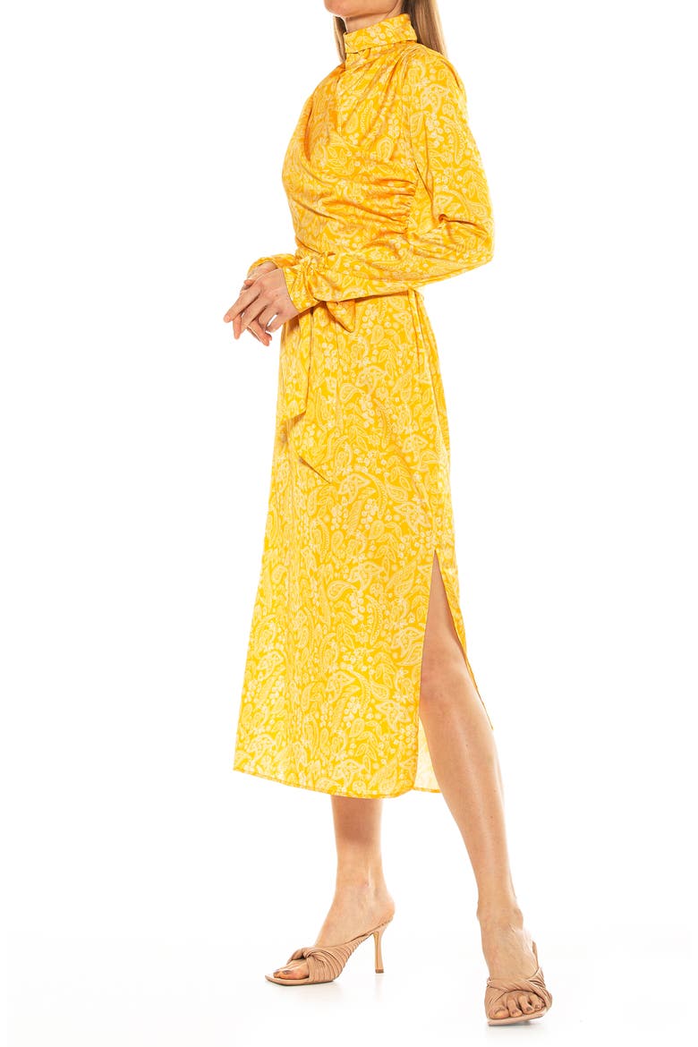Mock Neck Long Sleeve Draped Midi Dress, Alternate, color, YELLOW PAISLEY