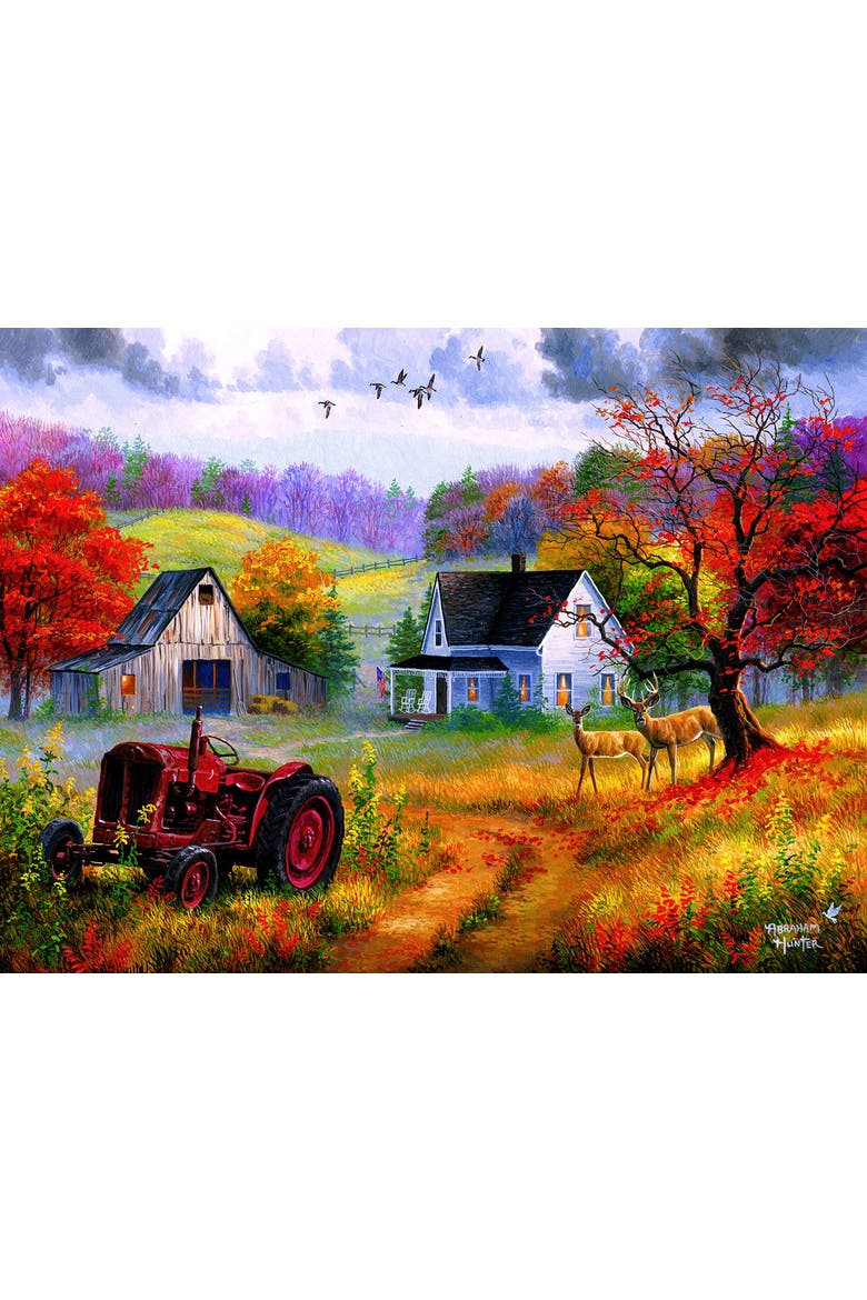 Heartland Home 1000 piece Jigsaw Puzzle for Adults, Alternate, color, Multicolor